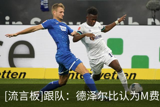 [流言板]跟队：德泽尔比认为M费是热刺未来核心，但现在更信任托纳利